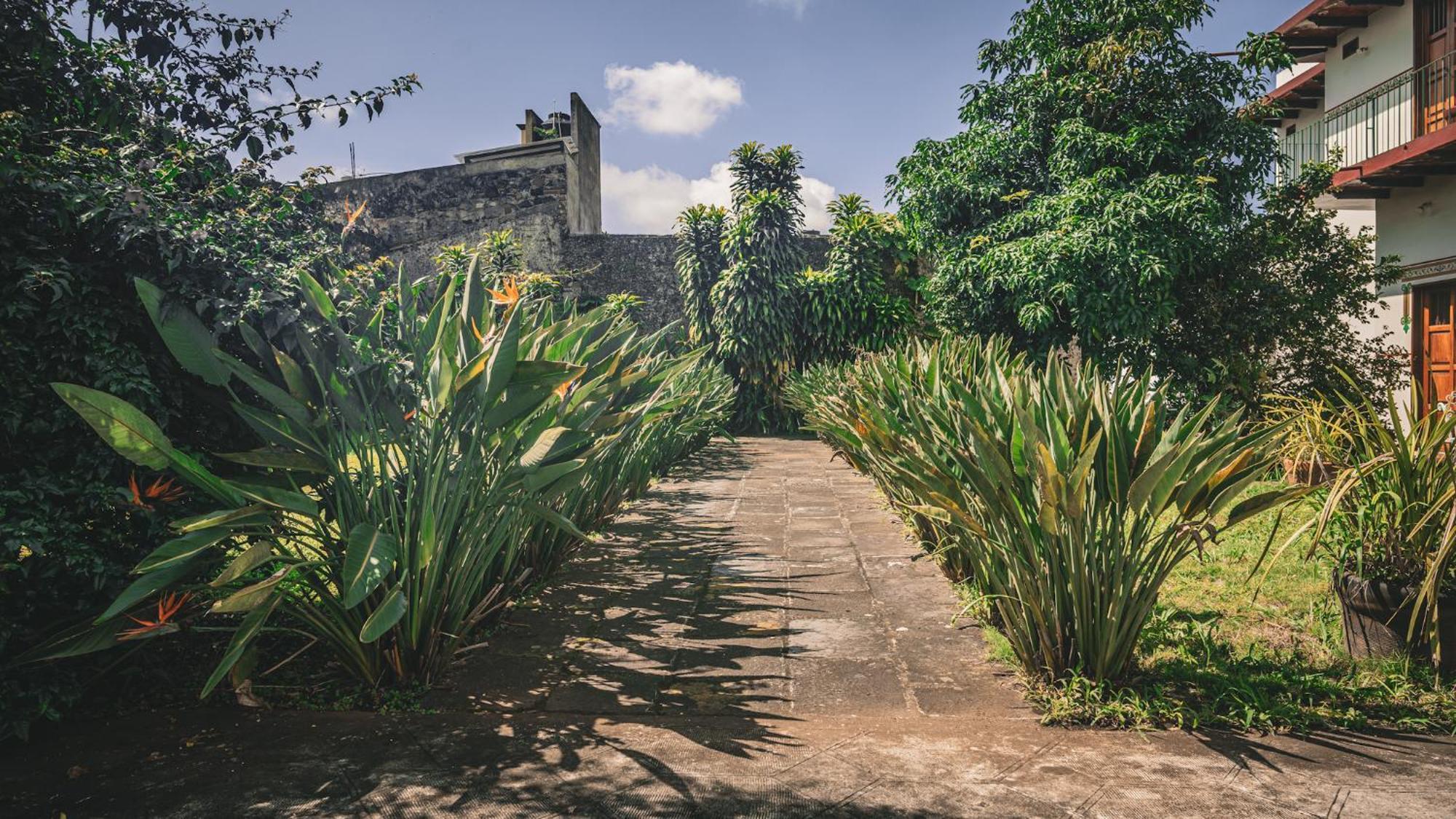 Hotel Montecillo Coatepec  Exterior photo